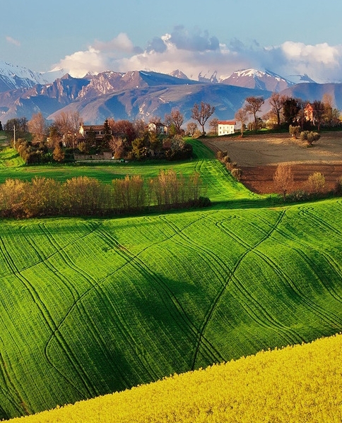 粉象生活如何领淘宝券