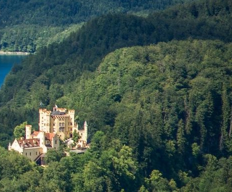 粉象生活模式合法吗