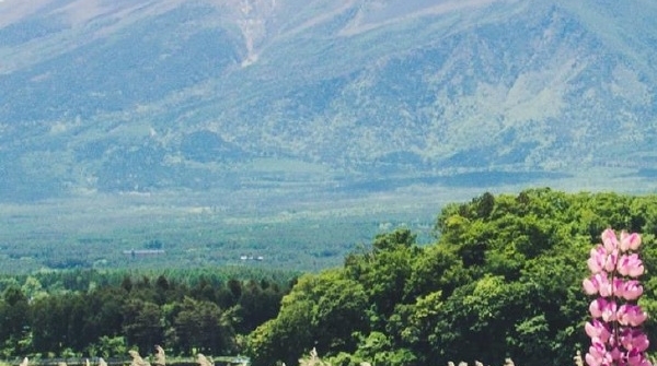 粉象生活做销售好做吗