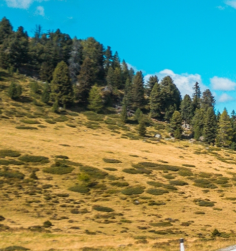 粉象生活怎么赚钱