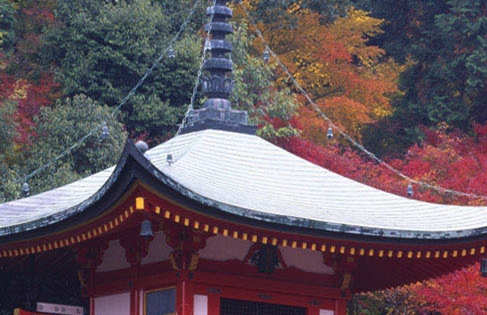 粉象生活怎么赚钱