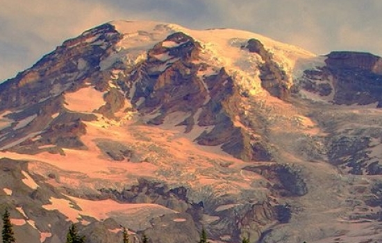 徐州粉象生活电话