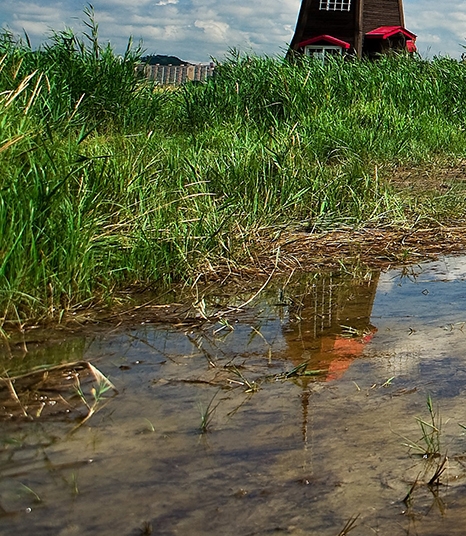 粉象生活现在怎么变积分了