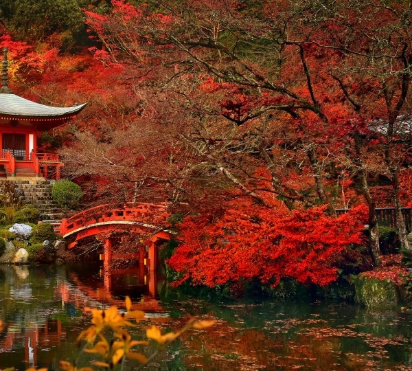 商家如何入驻粉象