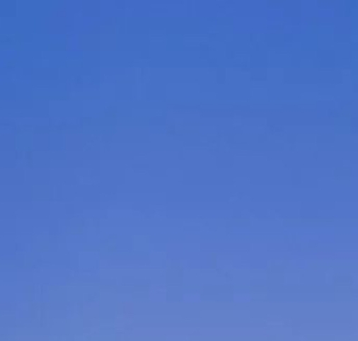 粉象生活详细介绍