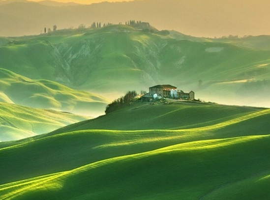 粉象生活淘宝返利