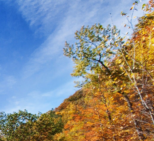 粉象生活账号绑定