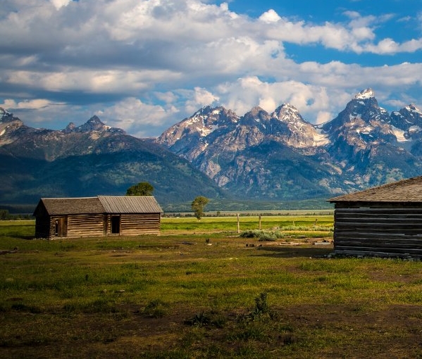 广东运营粉象生活app