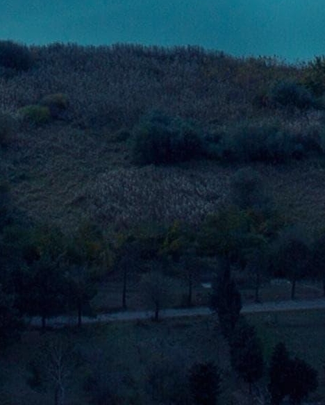 粉象生活平台如何注册会员