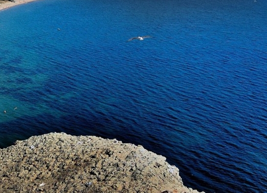 粉象生活免费用吗