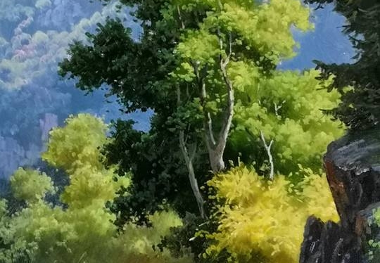 粉象生活粉丝怎么增加