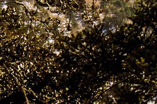 粉象生活能赚到钱吗