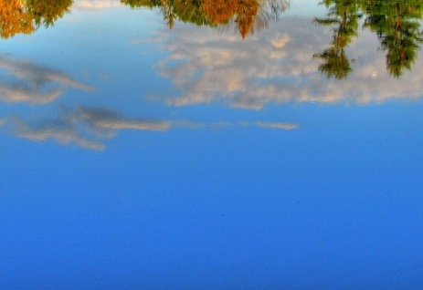 粉象生活vs好省