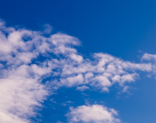 粉象生活怎么赚钱