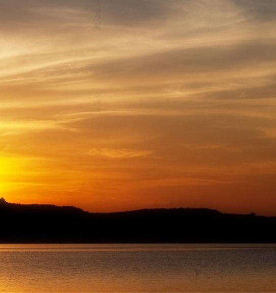 粉象生活如何设置返利