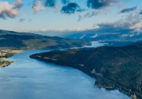 粉象生活里的东西是真的吗