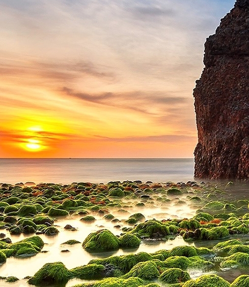 粉象生活是个什么东西