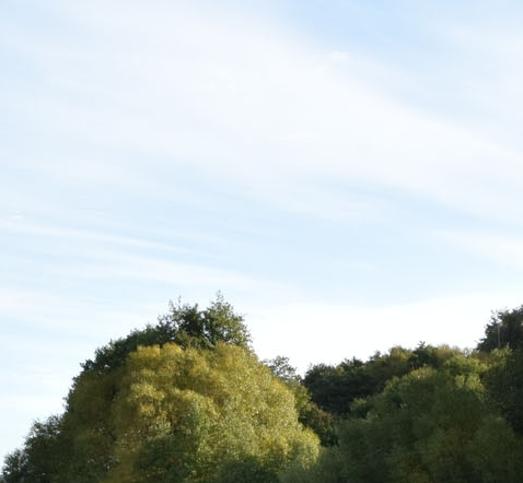 南京粉象生活怎么推广