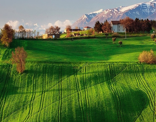粉象生活有哪些分享模式