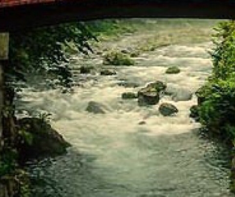 粉象生活大团队