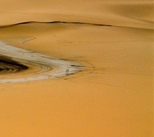 粉象生活邀请码