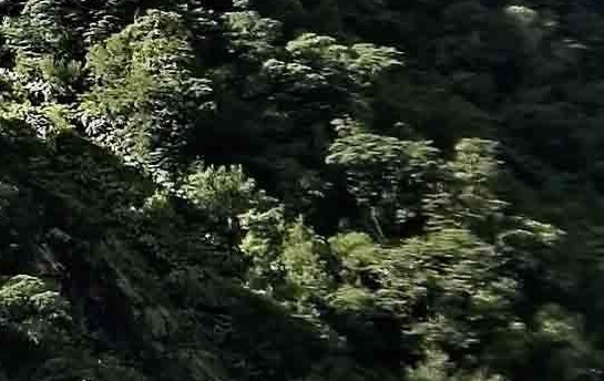 粉象生活怎么赚钱的