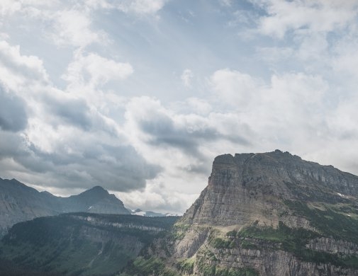 粉象生活有多少种模式