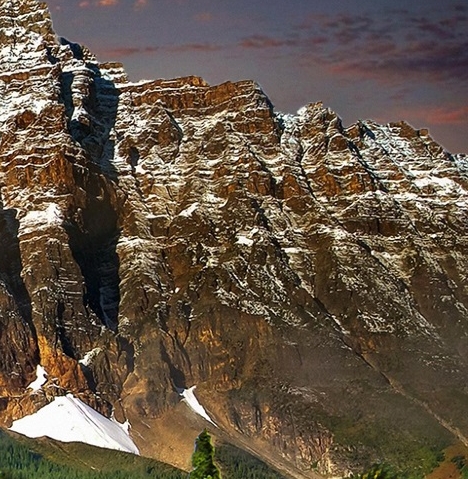 粉象生活怎么赚钱