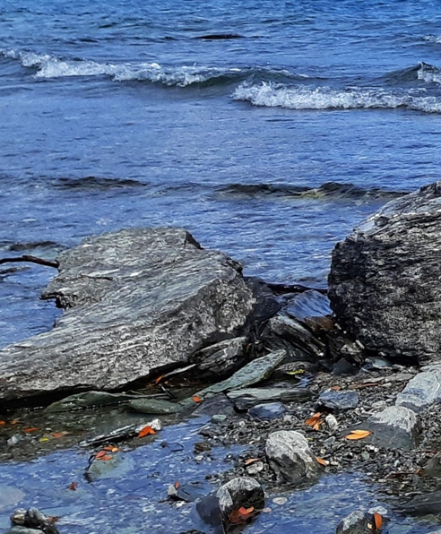 粉象生活下载app