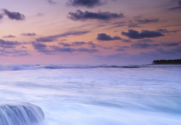 粉象生活日历图片