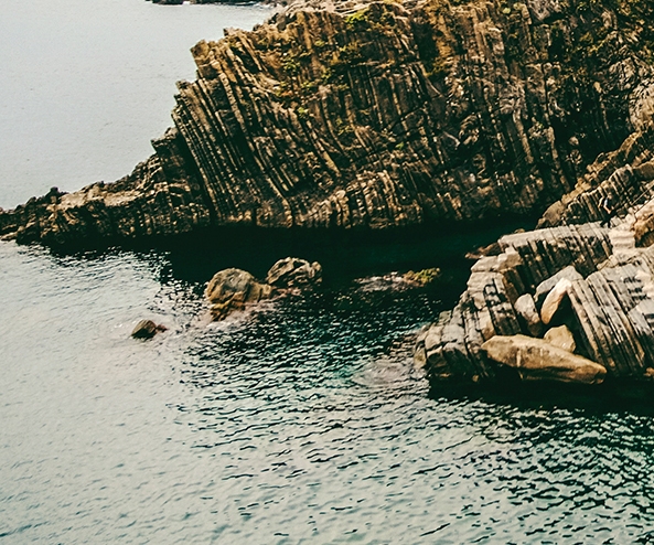 粉象生活上的好货怎么样