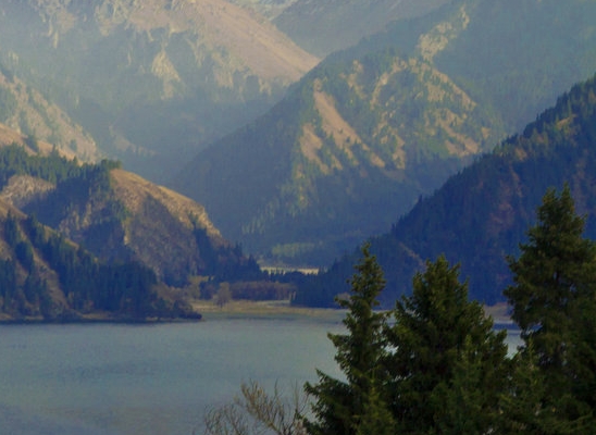 粉象生活客服工作内容