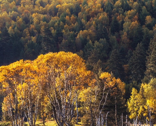 济宁水堂生活电话