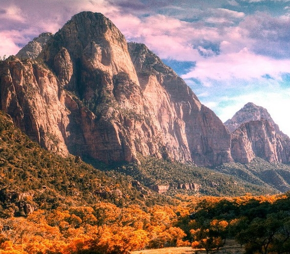 粉象生活能赚到钱吗