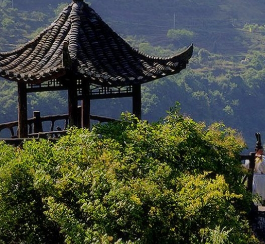 粉象生活商家合作推广费用