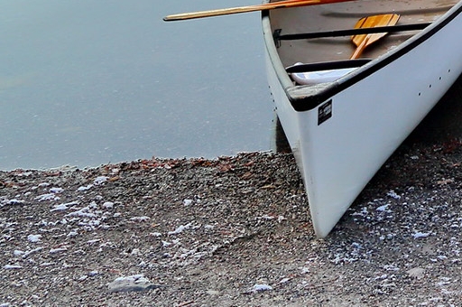 粉象生活粉丝怎么增加