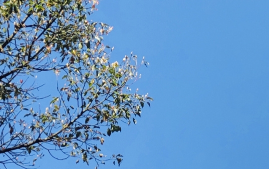 粉象生活有几种方式赚钱