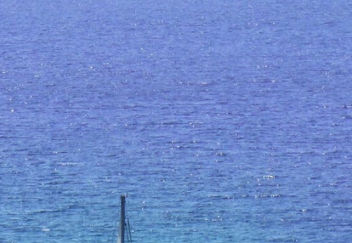 双鸭山粉象生活软件