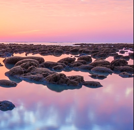 粉象生活怎么用淘宝