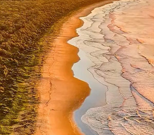 西瓜视频推广粉象生活