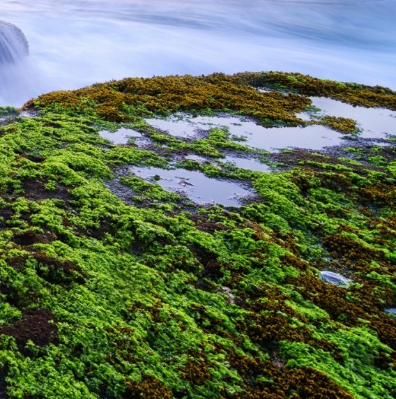 黑河粉象生活推广