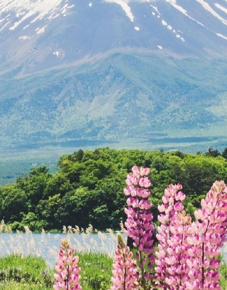 粉象生活订单图片