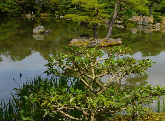 粉象生活能赚到钱吗