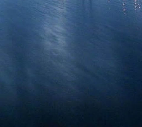 粉象生活用什么手机好