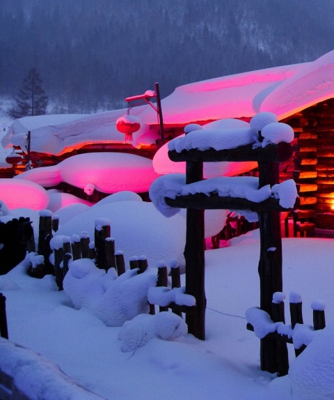 粉象生活做任务