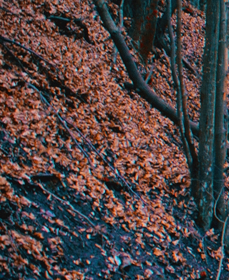 粉象生活佣金提现不出来怎么办