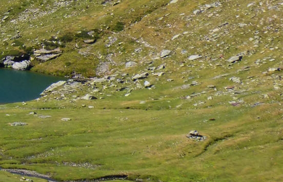 粉象生活什么时候推广的