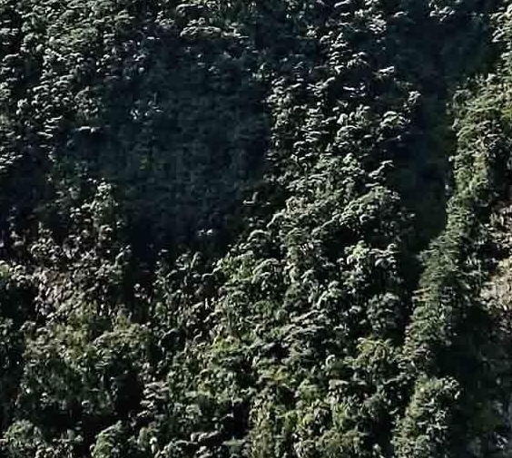 京粉里面的优惠券怎么领