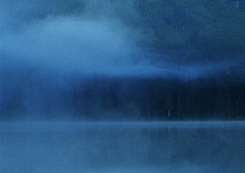 粉象生活买东西怎么砍价