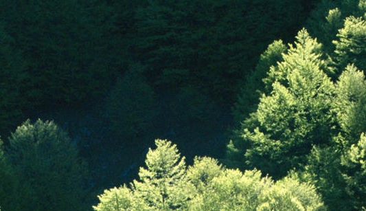 粉象生活新手怎么做